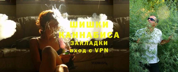 стафф Ельня