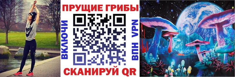 Псилоцибиновые грибы мицелий купить наркоту Ачинск